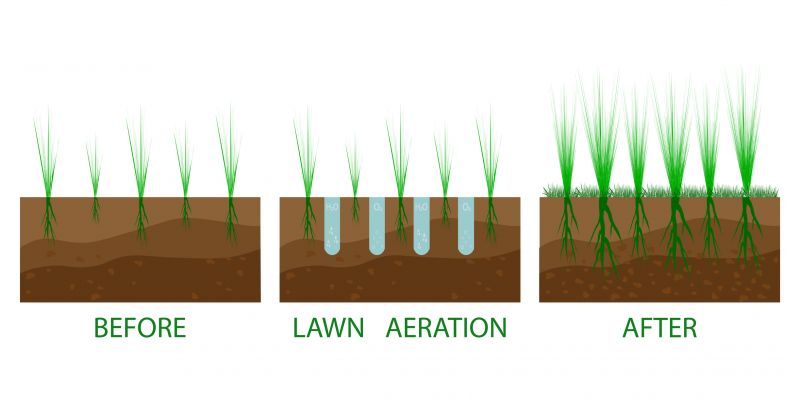 Lawn Leveling